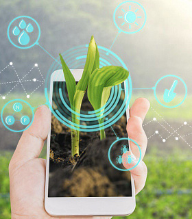 Новые возможности виртуальных сельскохозяйственных маркетплейсов