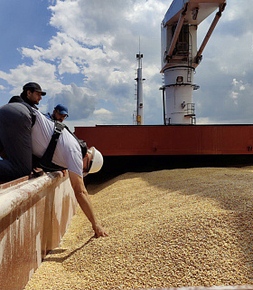 "Россия выходит из зерновой сделки: какие последствия ожидаются на рынке зерна?"